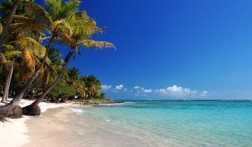 The beach