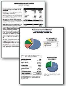 Total Compensation Statements Report