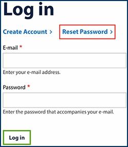 Password Reset Process: Step 1 - Login Page