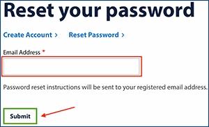 Password Reset Process: Step 2 - Enter Email Address