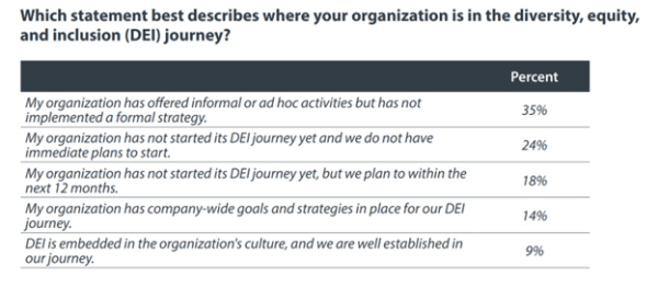 DEI journey from survey