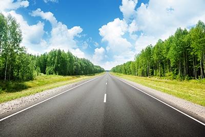Empty Road with Trees