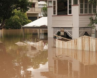 Flooded Yard