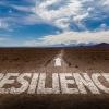 Resilience