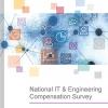 2021 National IT & Engineering Survey Cover